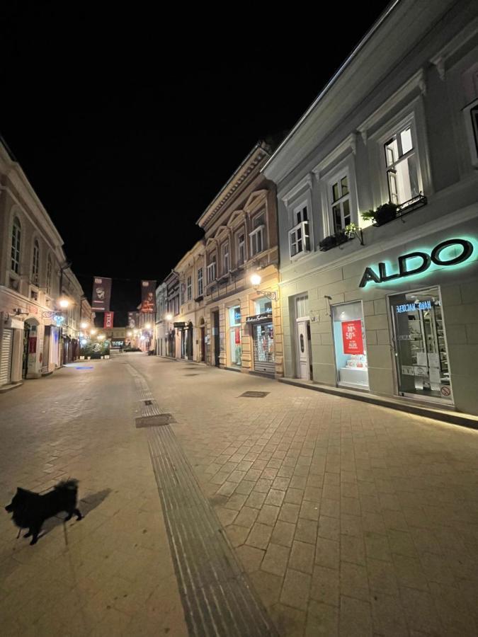 Appartamento Lux Dabich 1 Novi Sad Esterno foto